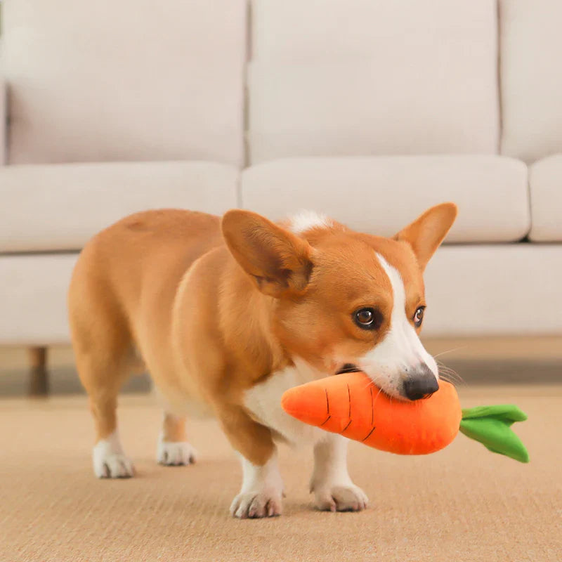 Calming Carrot