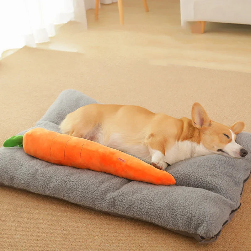 Calming Carrot