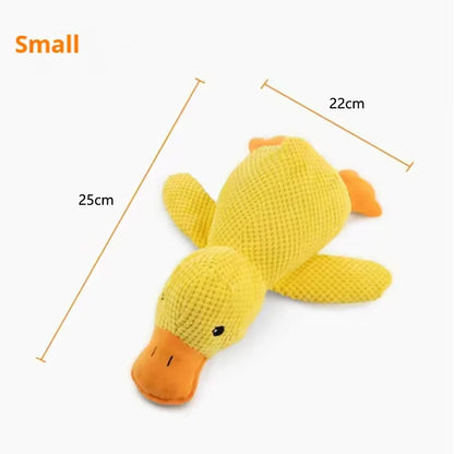 Calming Duck