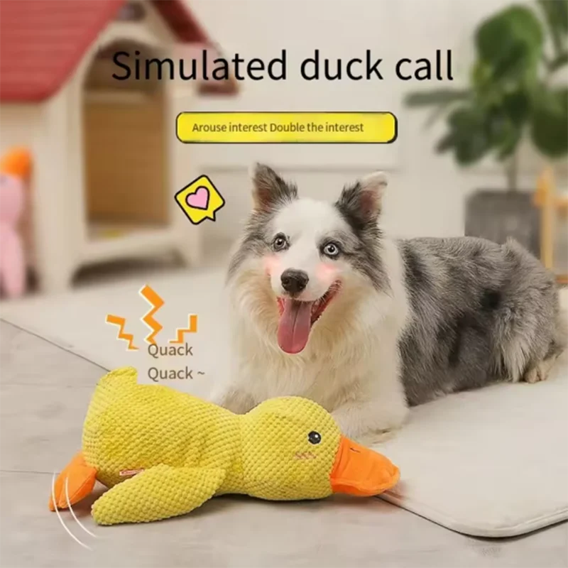 Calming Duck