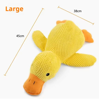 Calming Duck