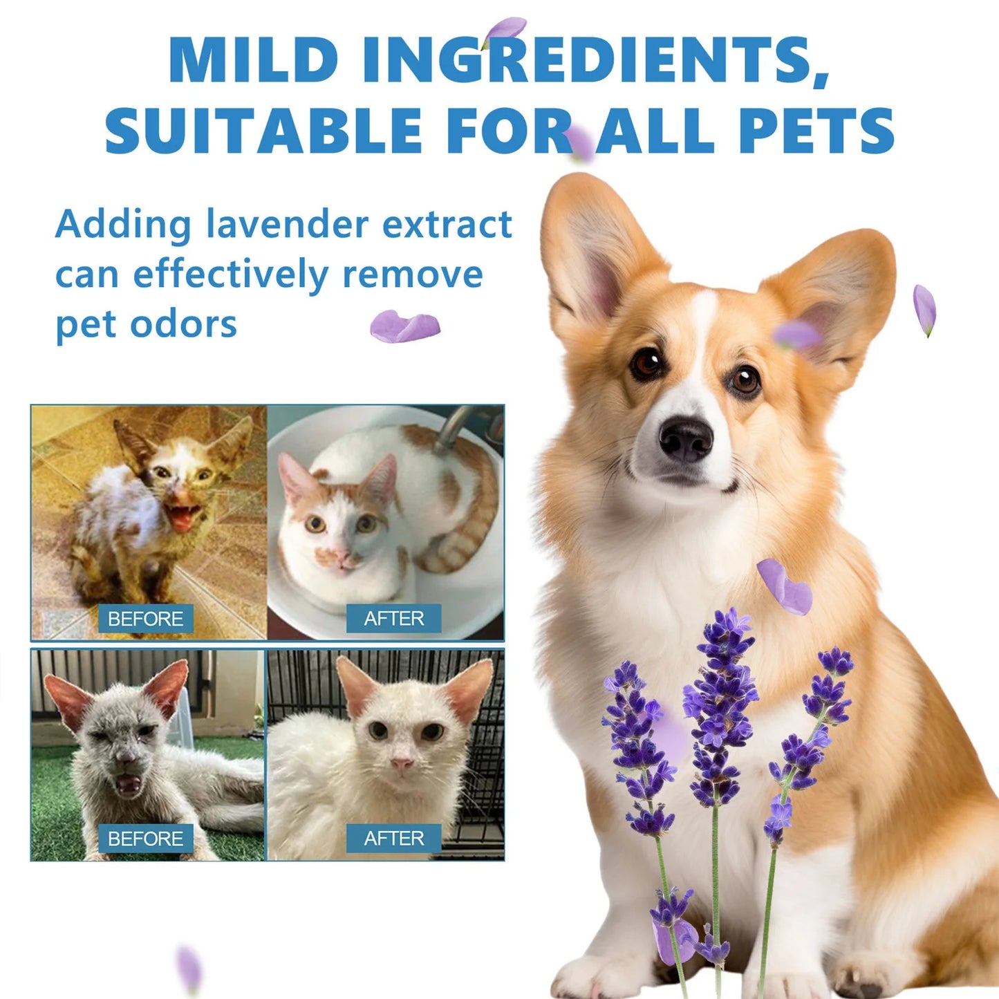 20ml Pet Hair Cleaning