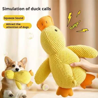 Calming Duck