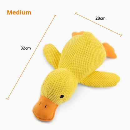 Calming Duck