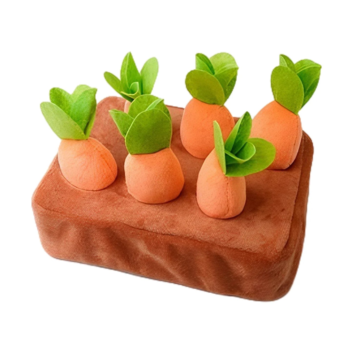 Carrot Farm