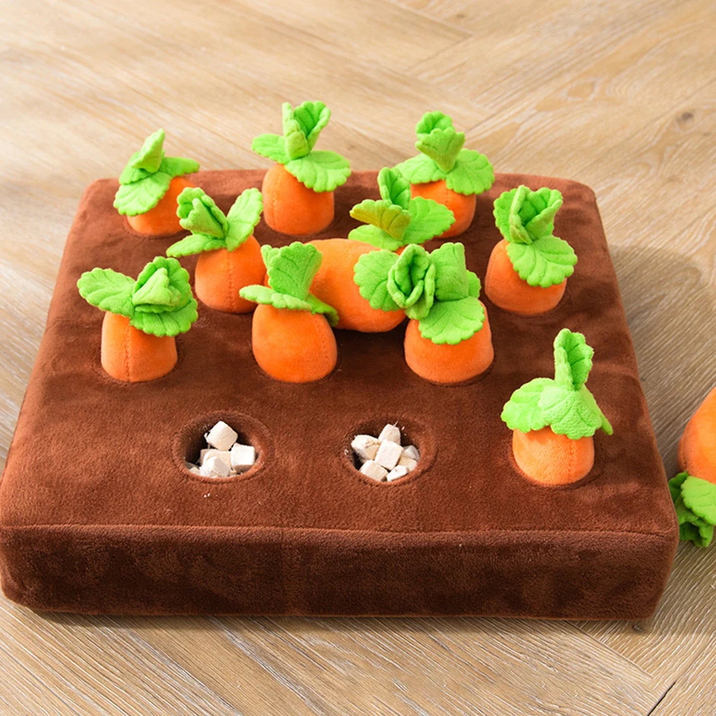 Carrot Farm