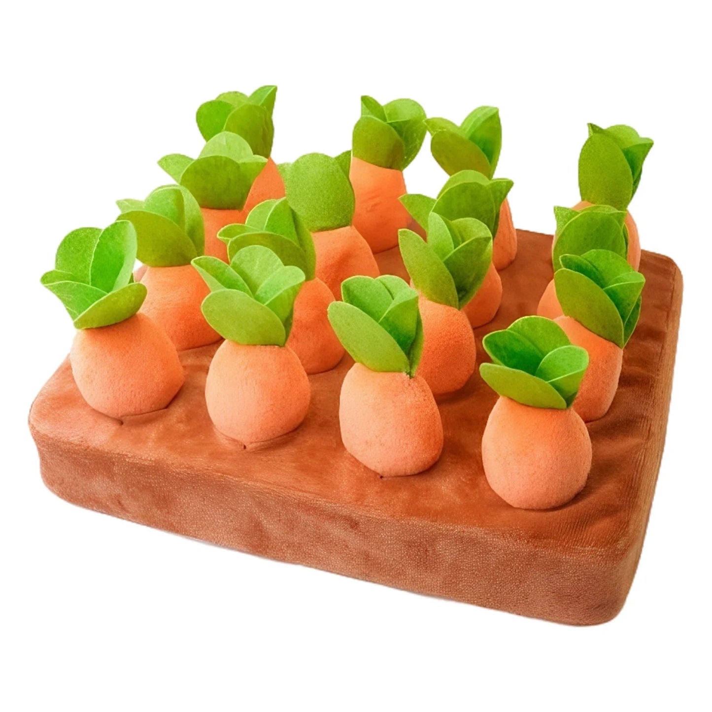 Carrot Farm