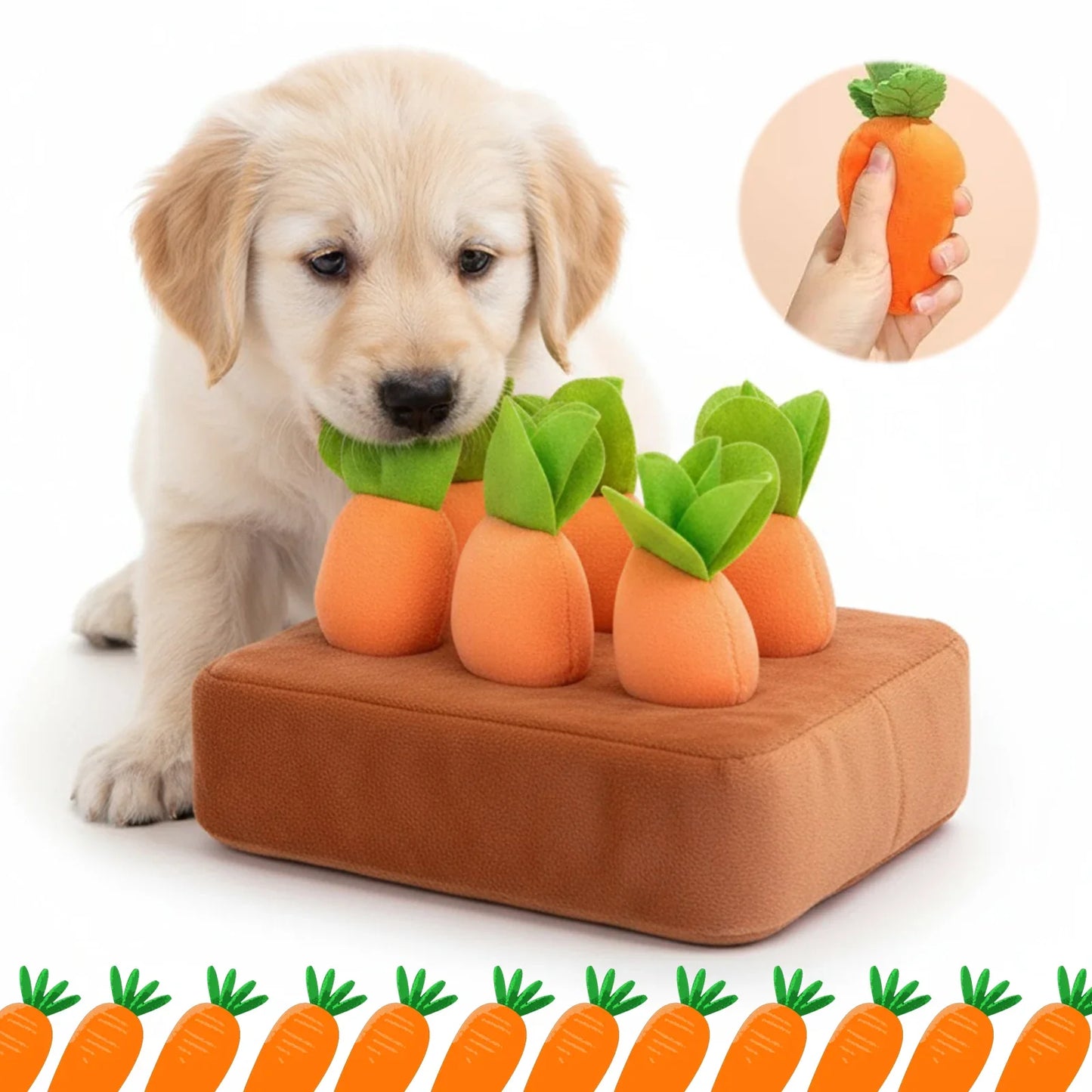 Carrot Farm