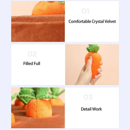 Carrot Farm
