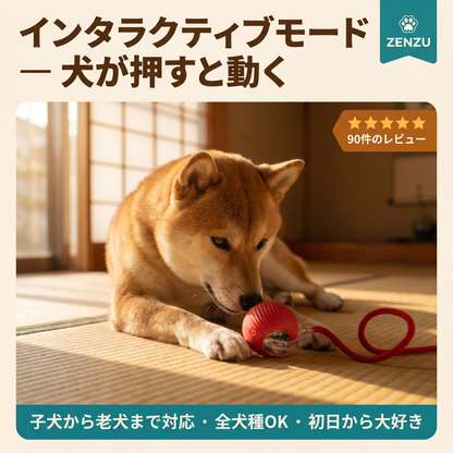 Automatic Dog Walker
