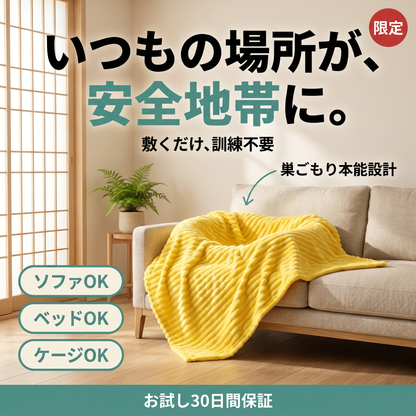 Emotional Support Blanket