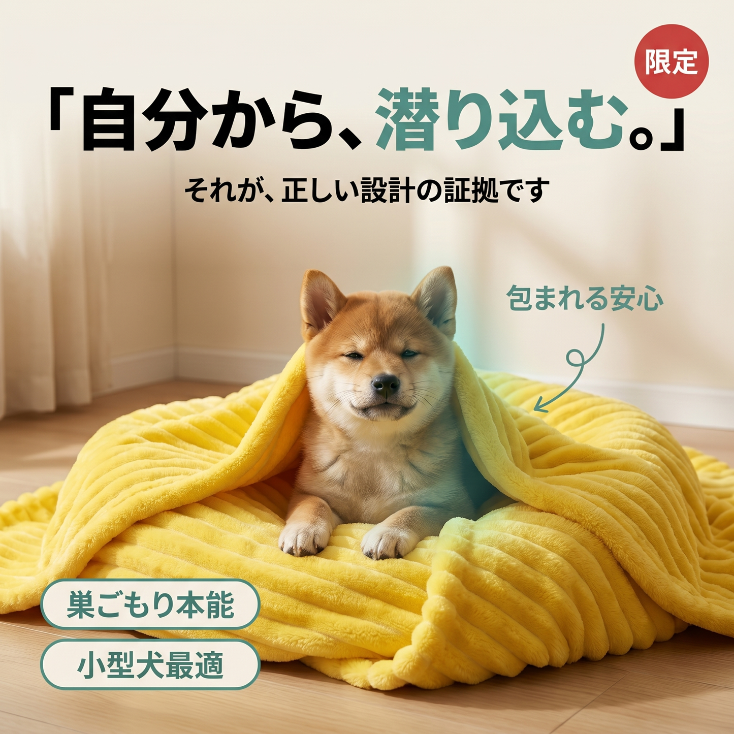 Emotional Support Blanket