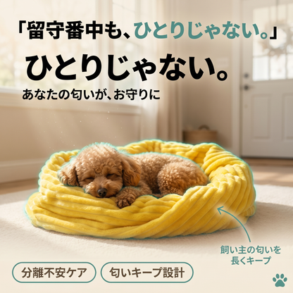 Emotional Support Blanket