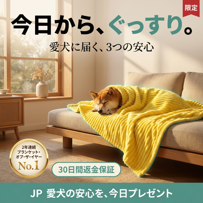 Emotional Support Blanket