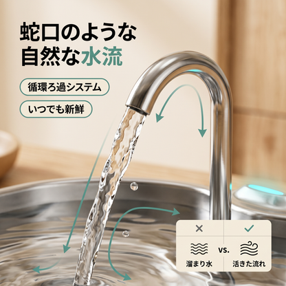 Water Fountain