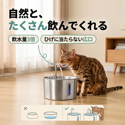 Water Fountain