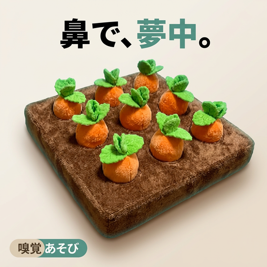 ほりほりにんじん畑