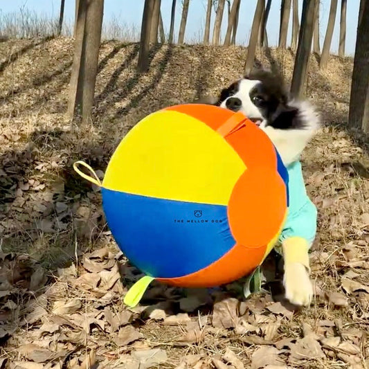 Jumbo Ball